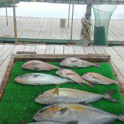 海の釣堀 海恵 釣果