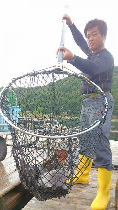 海の釣堀 海恵 釣果