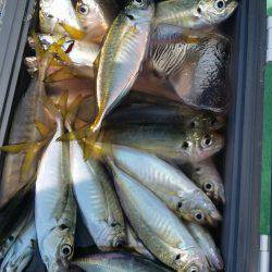 金沢八景鴨下丸 釣果