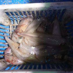 海龍丸（石川） 釣果