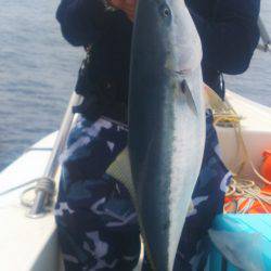 ブルドック 釣果