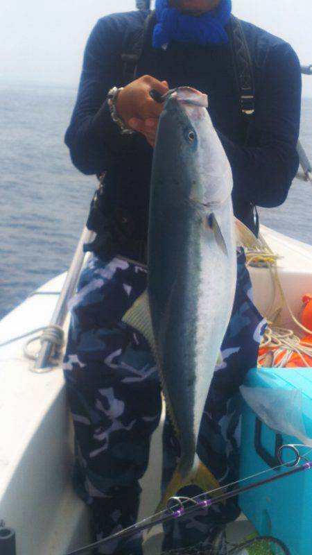 ブルドック 釣果