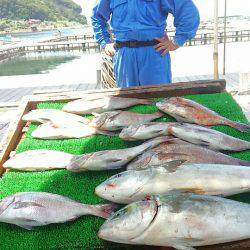 海の釣堀 海恵 釣果