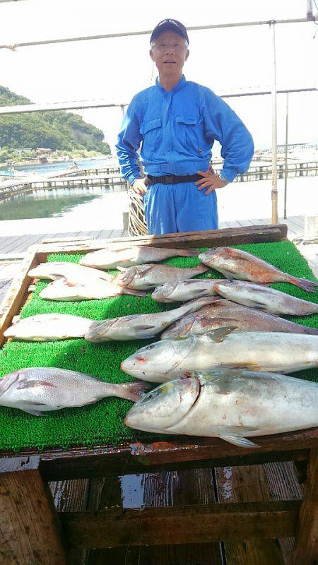 海の釣堀 海恵 釣果