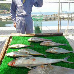 海の釣堀 海恵 釣果