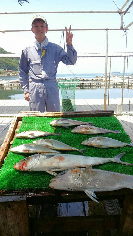 海の釣堀 海恵 釣果