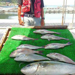 海の釣堀 海恵 釣果