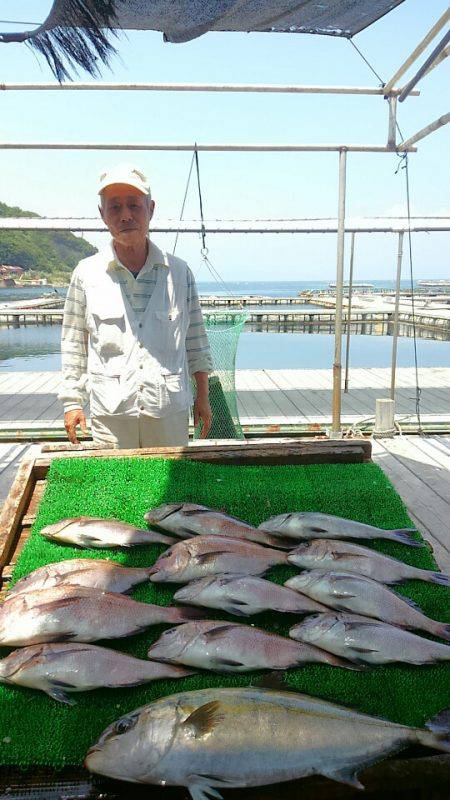 海の釣堀 海恵 釣果