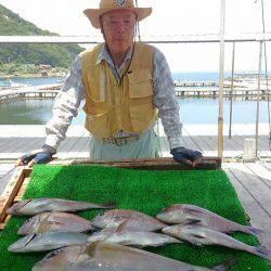 海の釣堀 海恵 釣果