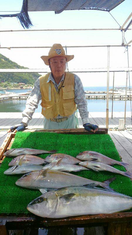 海の釣堀 海恵 釣果