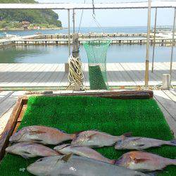 海の釣堀 海恵 釣果