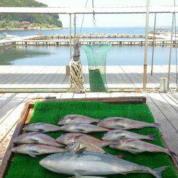 海の釣堀 海恵 釣果