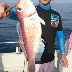 ARCADIAⅡ (アルカディアⅡ) 釣果