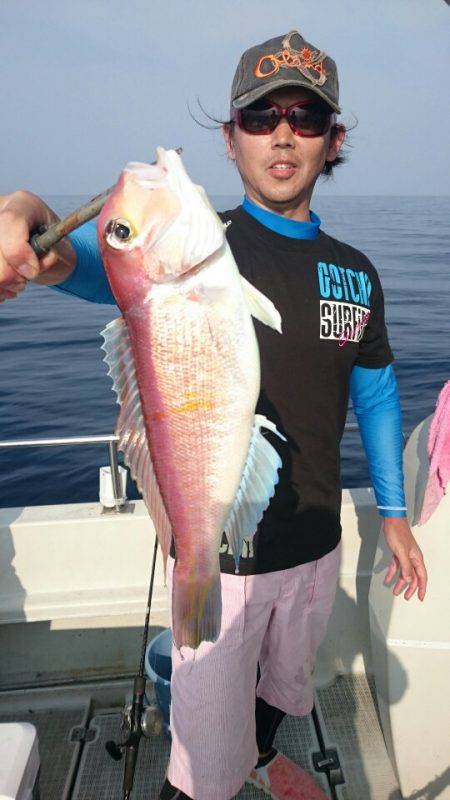 ARCADIAⅡ (アルカディアⅡ) 釣果