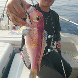 ARCADIAⅡ (アルカディアⅡ) 釣果