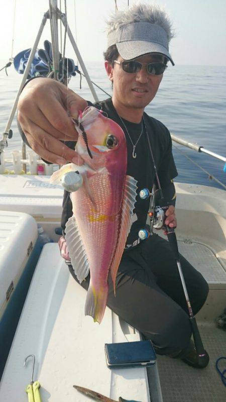 ARCADIAⅡ (アルカディアⅡ) 釣果