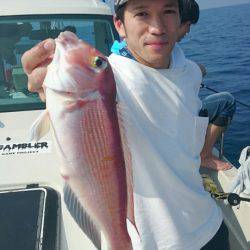 ARCADIAⅡ (アルカディアⅡ) 釣果