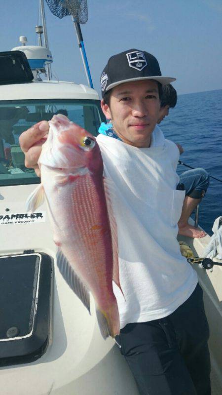 ARCADIAⅡ (アルカディアⅡ) 釣果