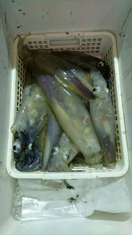 海龍丸（石川） 釣果