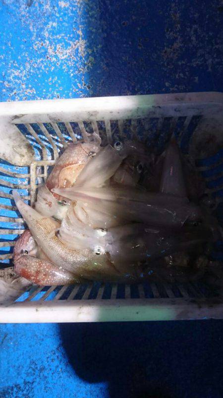 海龍丸（石川） 釣果