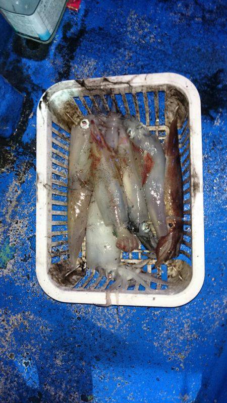 海龍丸（石川） 釣果