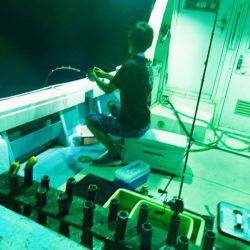 あみや渡船 JIGBOY 釣果