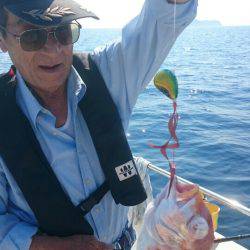 ARCADIAⅡ (アルカディアⅡ) 釣果