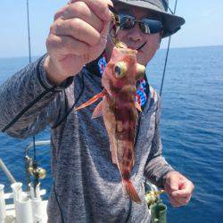 ARCADIAⅡ (アルカディアⅡ) 釣果