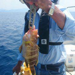 ARCADIAⅡ (アルカディアⅡ) 釣果