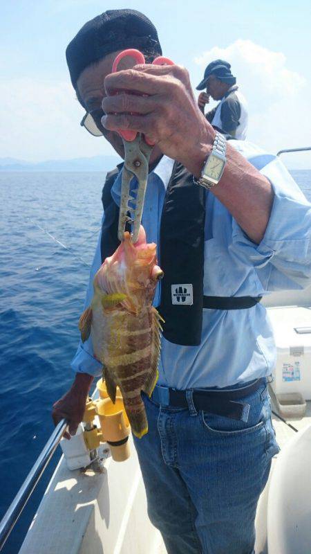 ARCADIAⅡ (アルカディアⅡ) 釣果