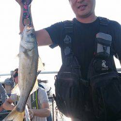 海龍丸（石川） 釣果