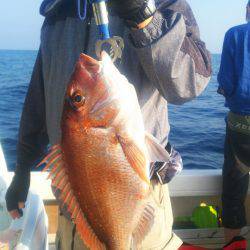 ブルドック 釣果