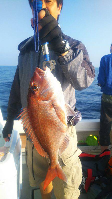 ブルドック 釣果