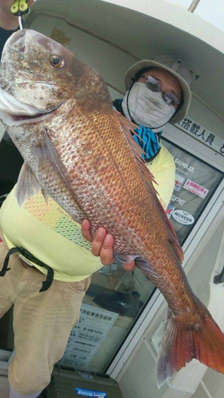 ARCADIAⅡ (アルカディアⅡ) 釣果