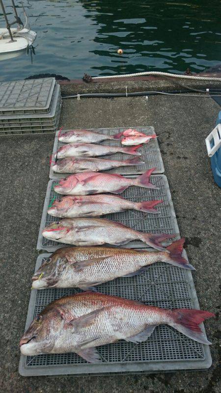 ARCADIAⅡ （アルカディアⅡ） 釣果…