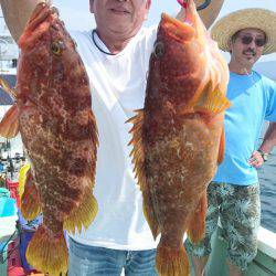 あみや渡船 JIGBOY 釣果