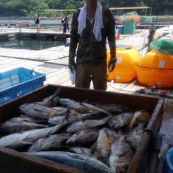 海の釣堀 海恵 釣果