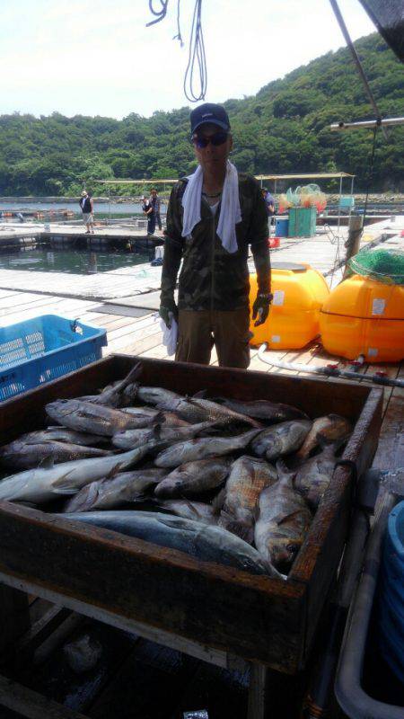 海の釣堀 海恵 釣果