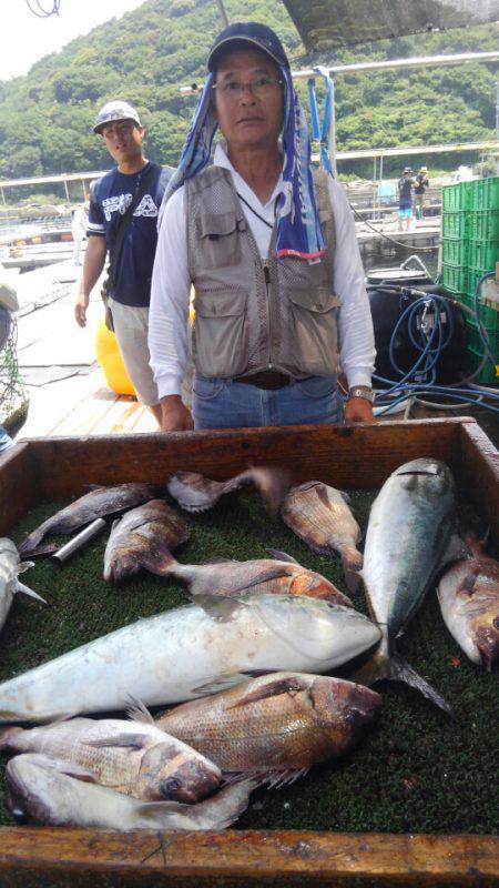 海の釣堀 海恵 釣果