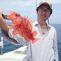 ARCADIAⅡ （アルカディアⅡ） 釣果