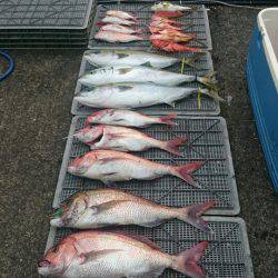 ARCADIAⅡ （アルカディアⅡ） 釣果