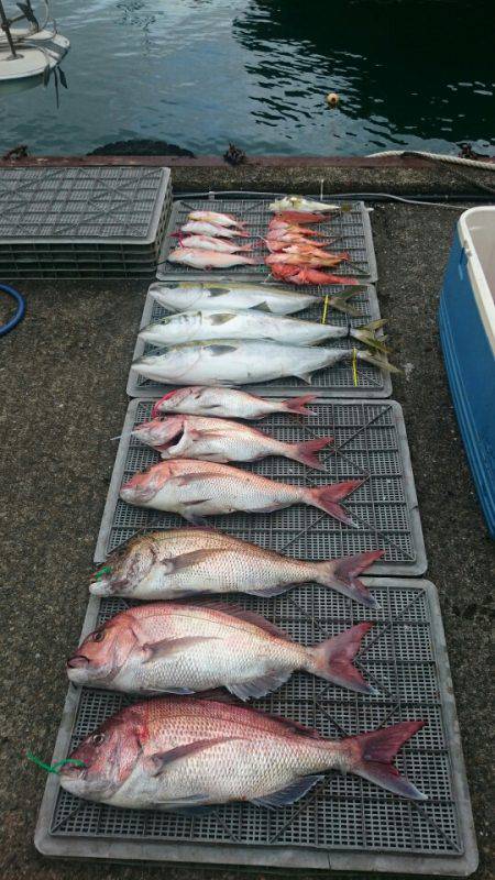 ARCADIAⅡ （アルカディアⅡ） 釣果…