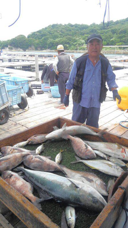 海の釣堀 海恵 釣果