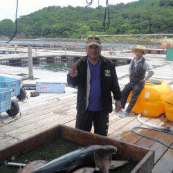 海の釣堀 海恵 釣果