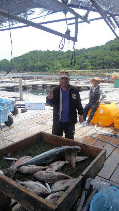 海の釣堀 海恵 釣果
