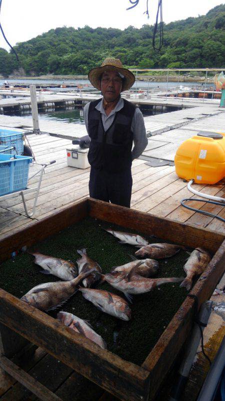 海の釣堀 海恵 釣果