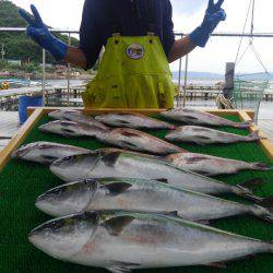 海の釣堀 海恵 釣果