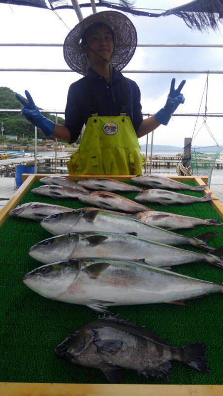 海の釣堀 海恵 釣果