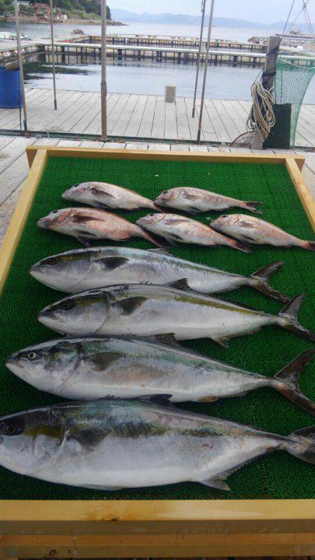 海の釣堀 海恵 釣果
