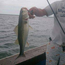 海龍丸（石川） 釣果